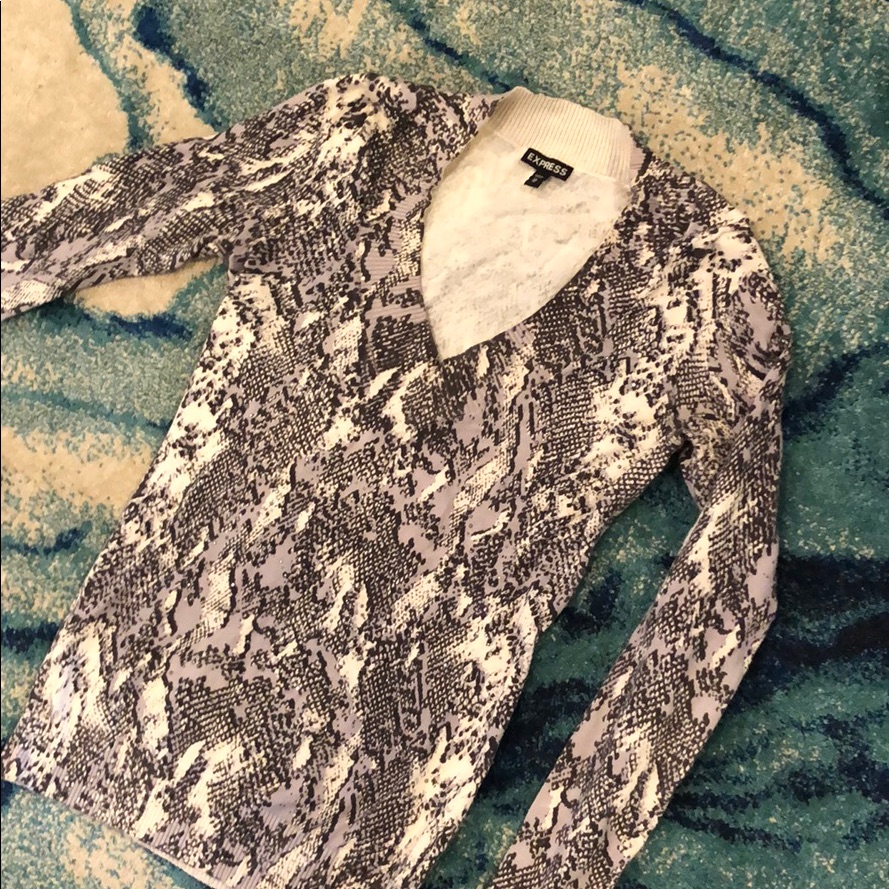 Express Python Snake Sweater